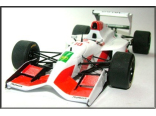  Footwork-Mugen FA13B South African GP (Warwick-Suzuki)