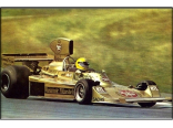  Hesketh Ford 308B Austrian GP (Ertl)