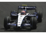  Williams-Toyota FW29 Brasilian GP (Rosberg-Nakajima)